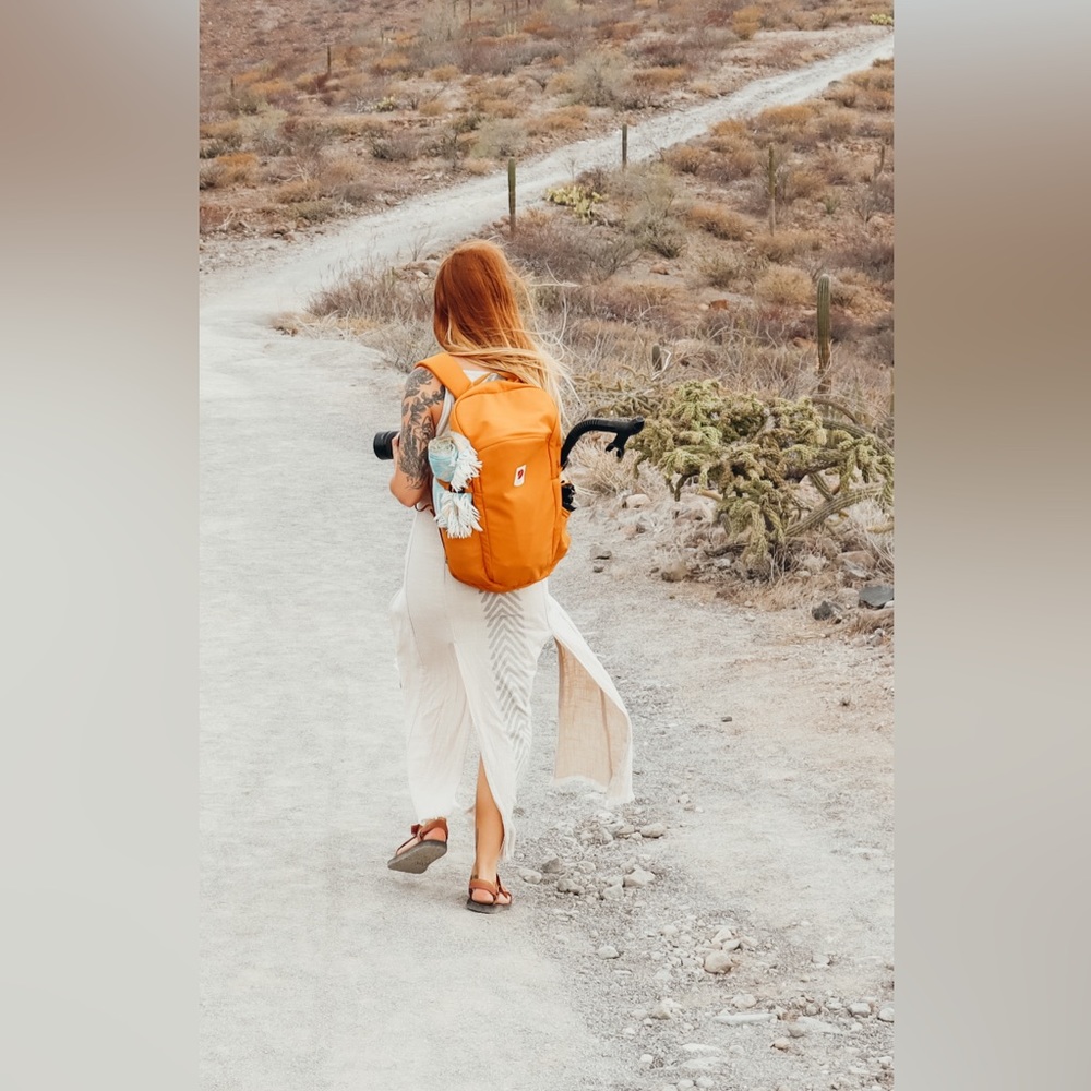 FjallRaven backpack